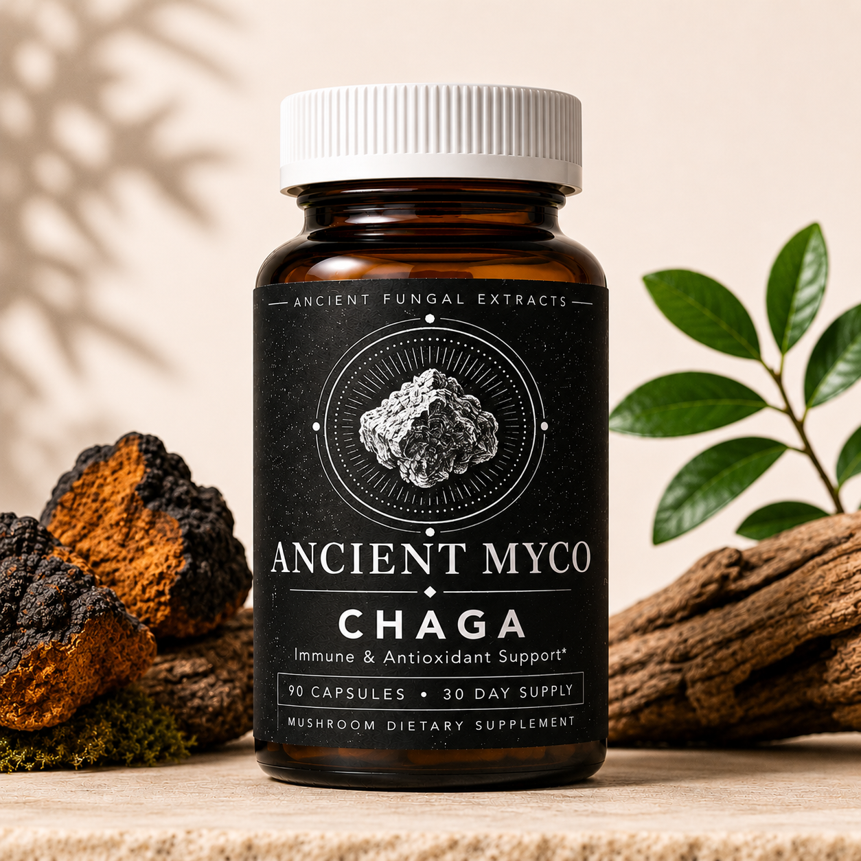 Chaga