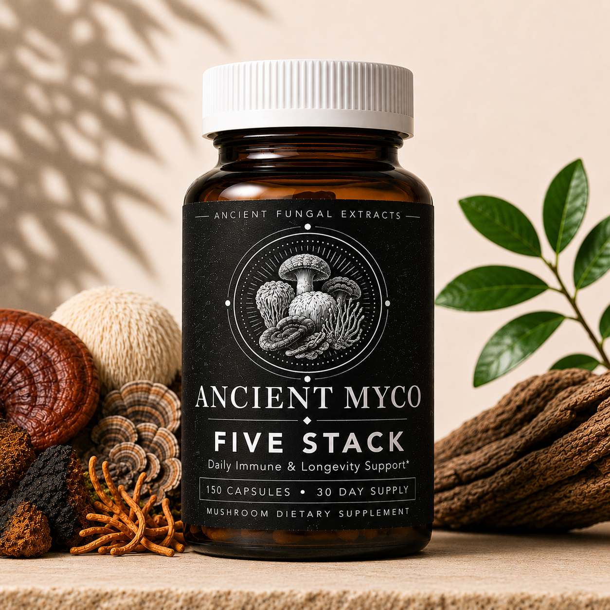 Five Stack