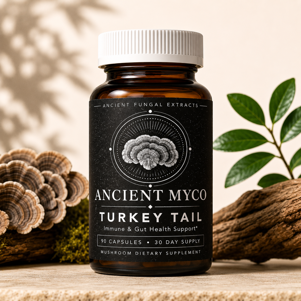 Turkey Tail